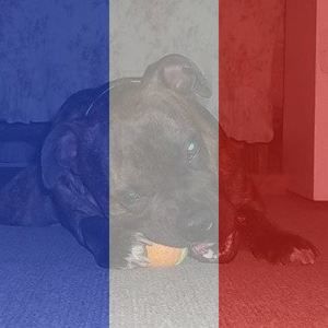 Meet your Posher, Rick